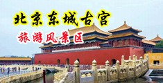 大鸡巴操美妇Av电影中国北京-东城古宫旅游风景区